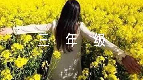 制定篮球交流计划以促进个人技能发展的方法_1